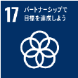 sdgs_logo17